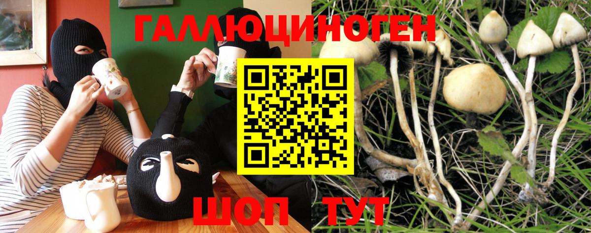 Галлюциногенные грибы Cubensis Отрадный