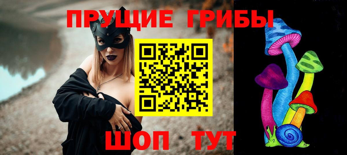 Псилоцибиновые грибы прущие грибы  Вход с VPN  Отрадный 